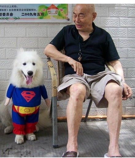 ˹2.jpg