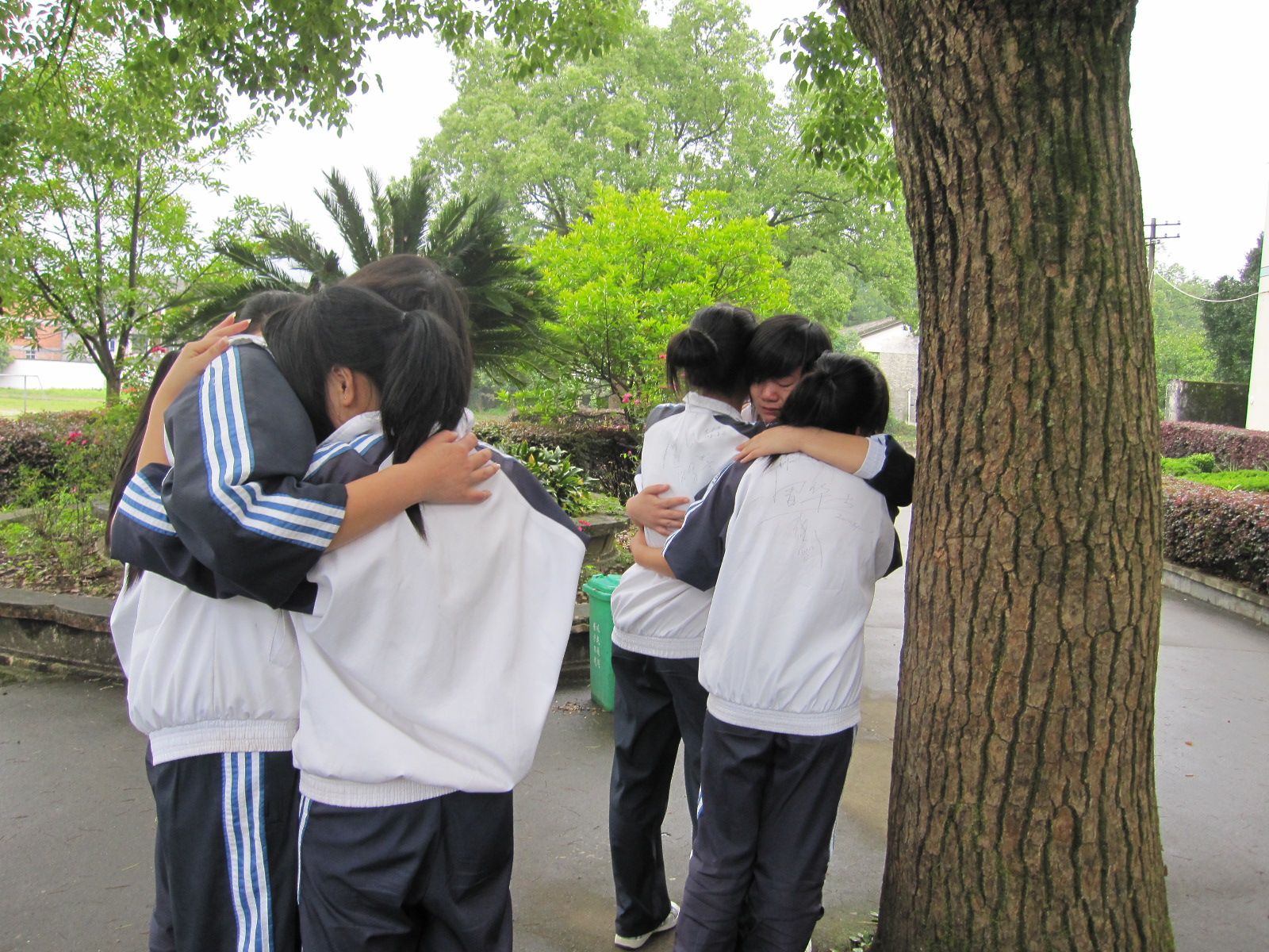 Ƭ 098.jpg