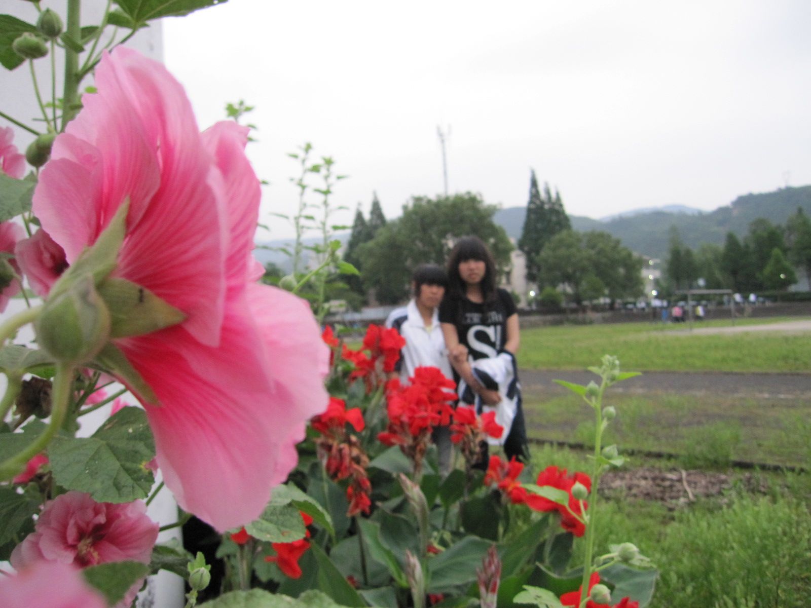 Ƭ 022.jpg