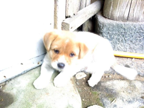 IMG0197A.jpg