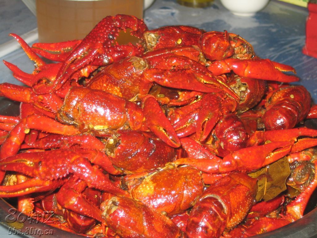 20080705_4f0fc2b5866f24ceea86wdlHcAUr5arC.jpg