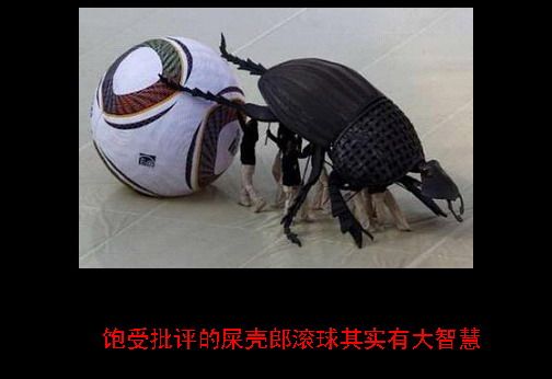 Ƭ_5.jpg