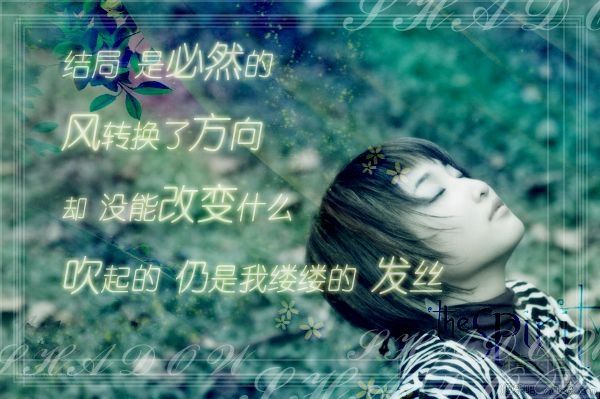 A856521984064EWE.jpg
