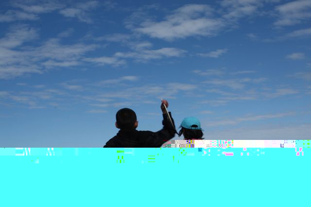 95.jpg