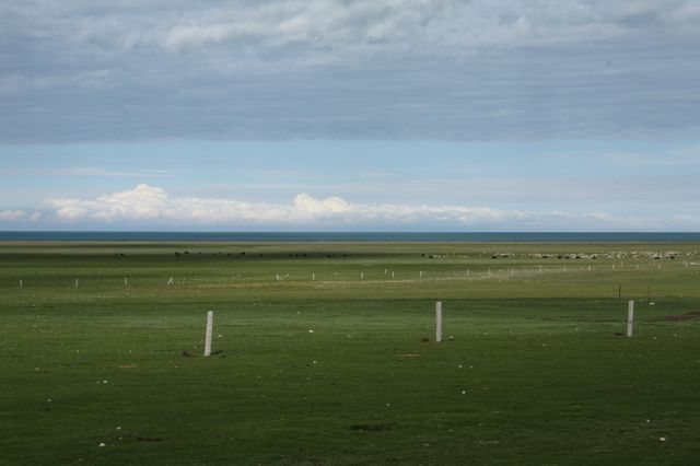 116.jpg