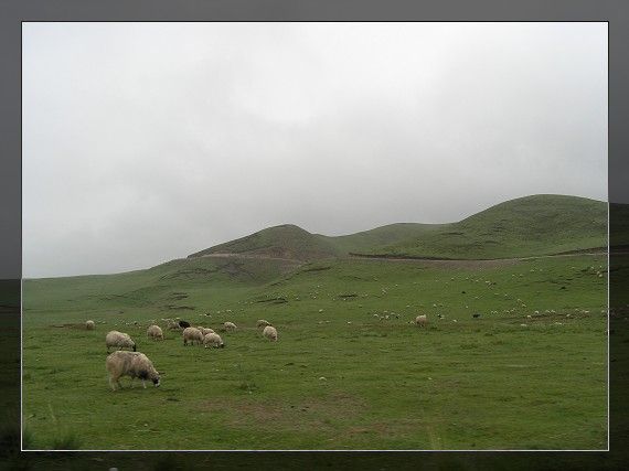 P6309646.jpg