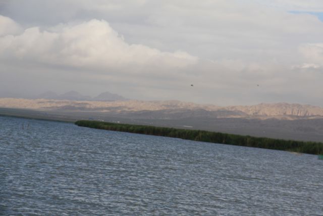 134.jpg