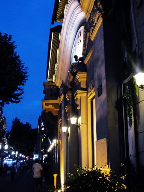 DSC01722.jpg