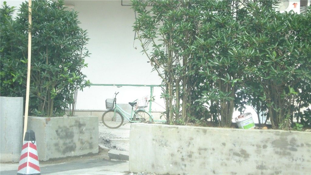 DSC00450_.jpg