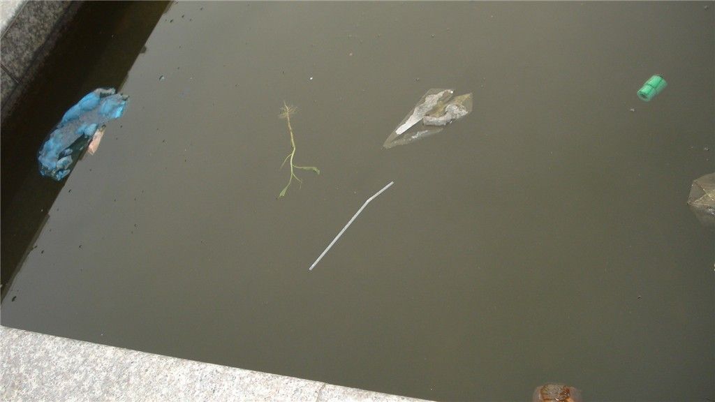 DSC00458_.jpg