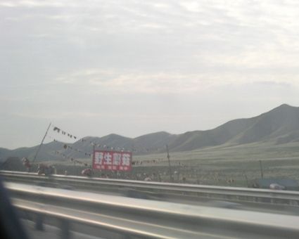 P7050366_1.jpg