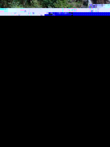 77.jpg