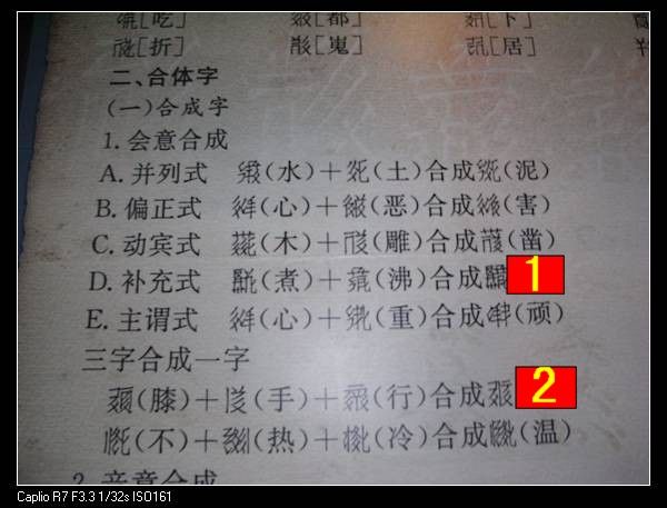 RIMG0821aa.jpg