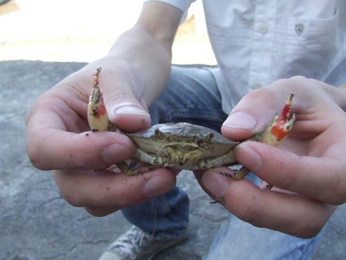 DSCF5814.JPG