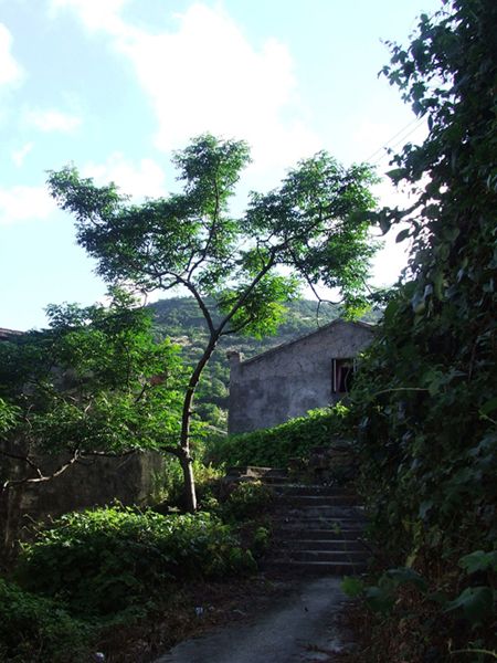 DSCF5821.JPG
