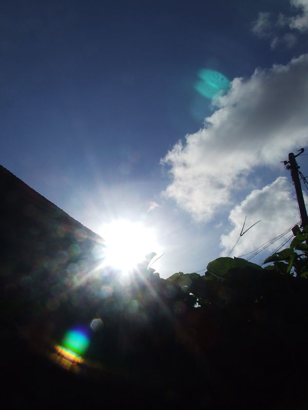 DSCF5837.JPG