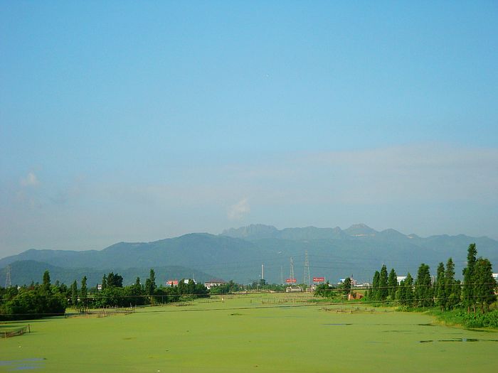 nEO_IMG_DSC07126.jpg