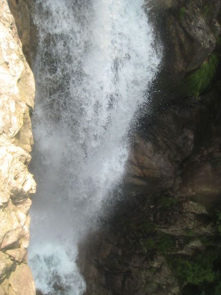 66.jpg