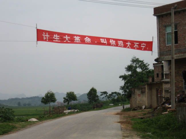 20100701115609546[1].jpg
