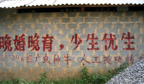 20100701115736561[1].jpg