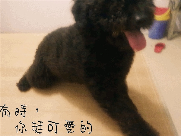 20100725022_.gif