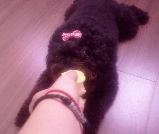 20100808037_.jpg