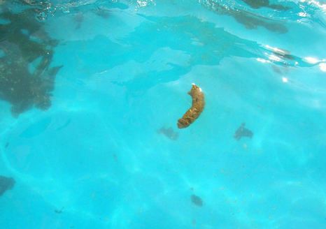 201008160825121002100100021107976.jpg