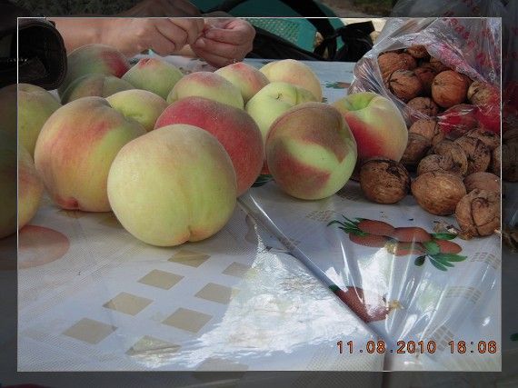 ຣ 086.jpg