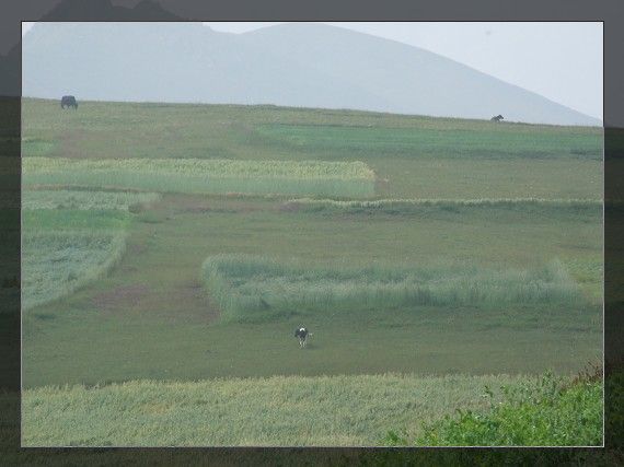 DSCF0940.jpg