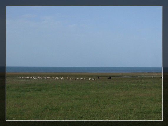 DSCF0975.jpg