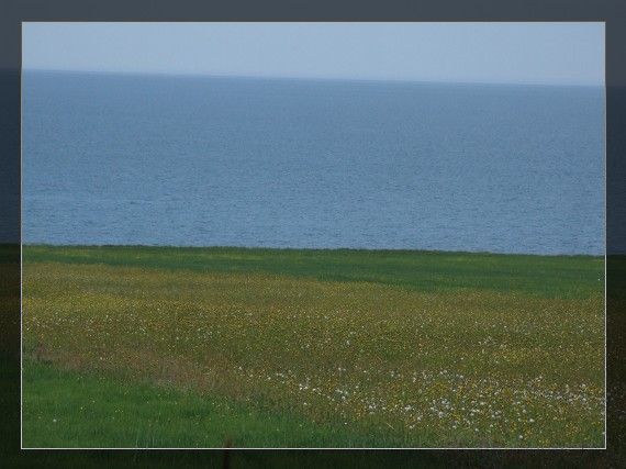 DSCF0965.jpg