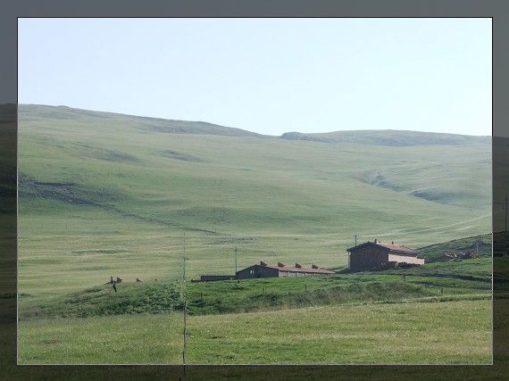 DSCF1113.jpg