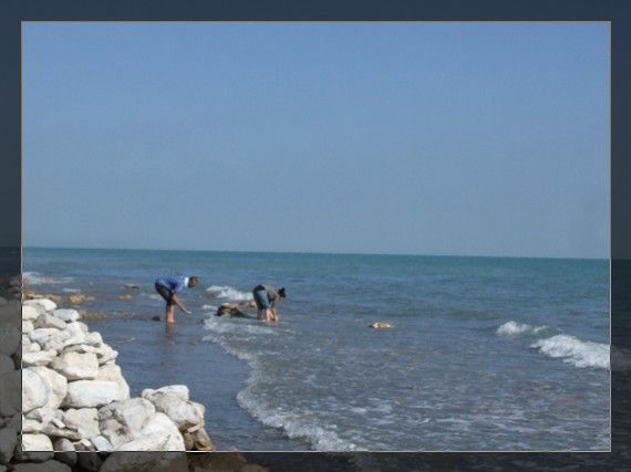 DSCF1058.jpg