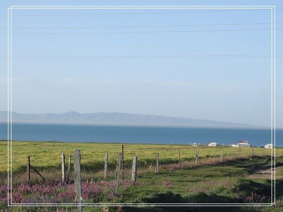 DSCF1170.jpg