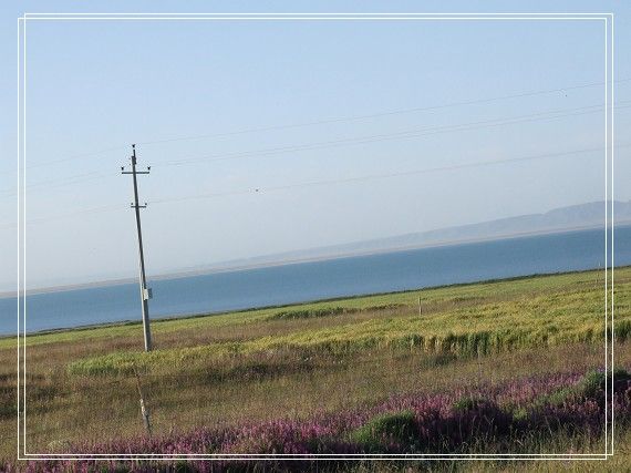 DSCF1171.jpg