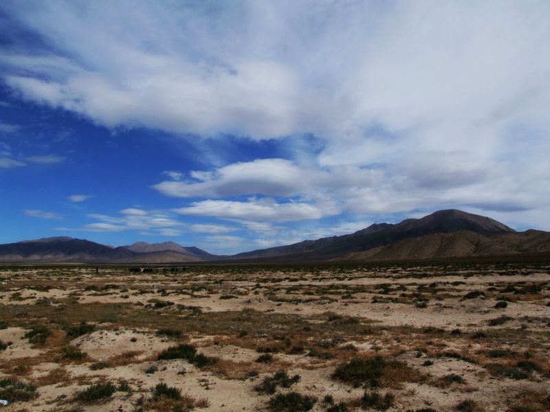 DSCF1245.jpg