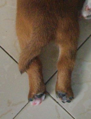 IMGP5237_Ӱ_1.jpg