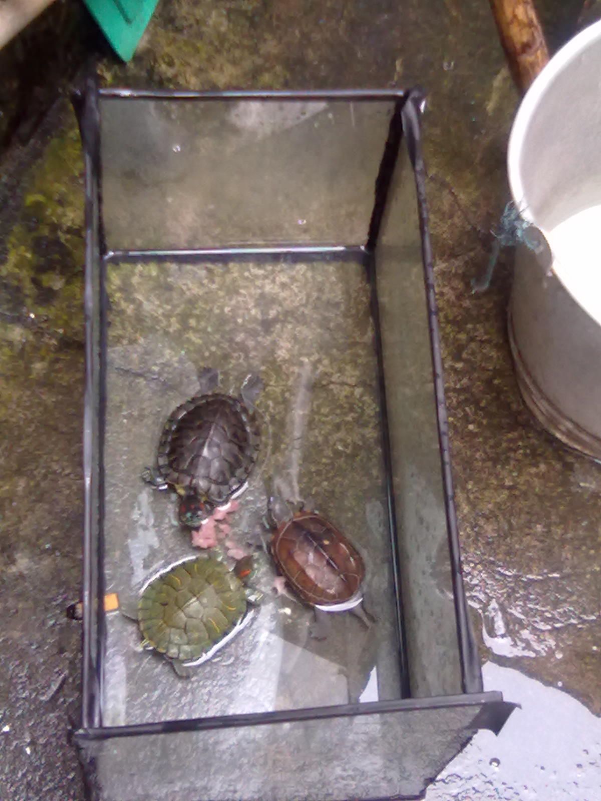 20100919035.jpg