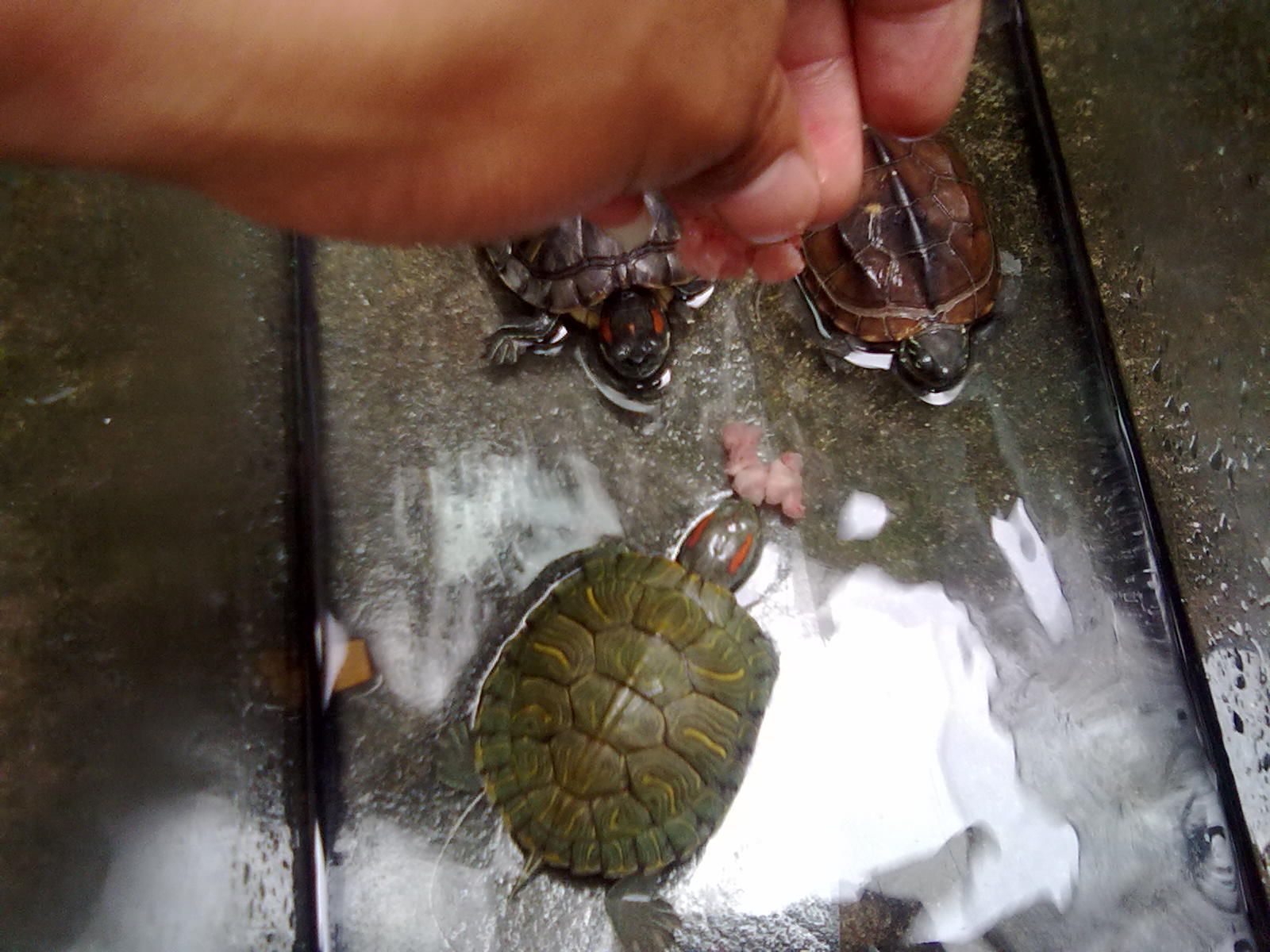 20100919027.jpg