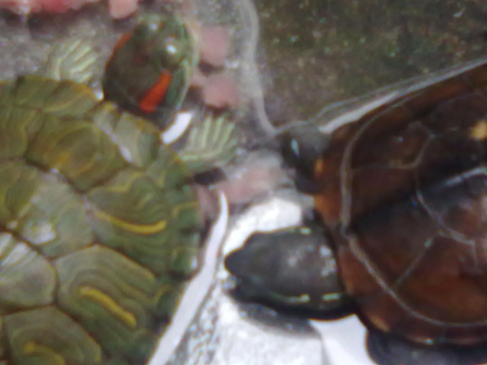 20100919029.jpg