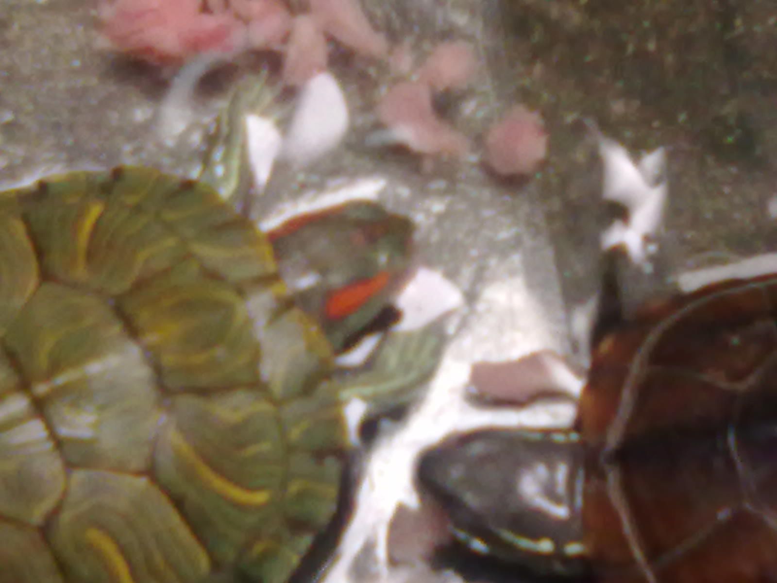 20100919030.jpg