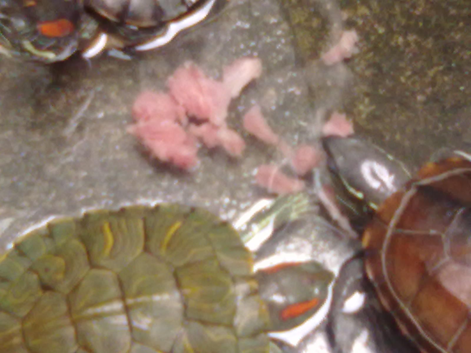 20100919031.jpg