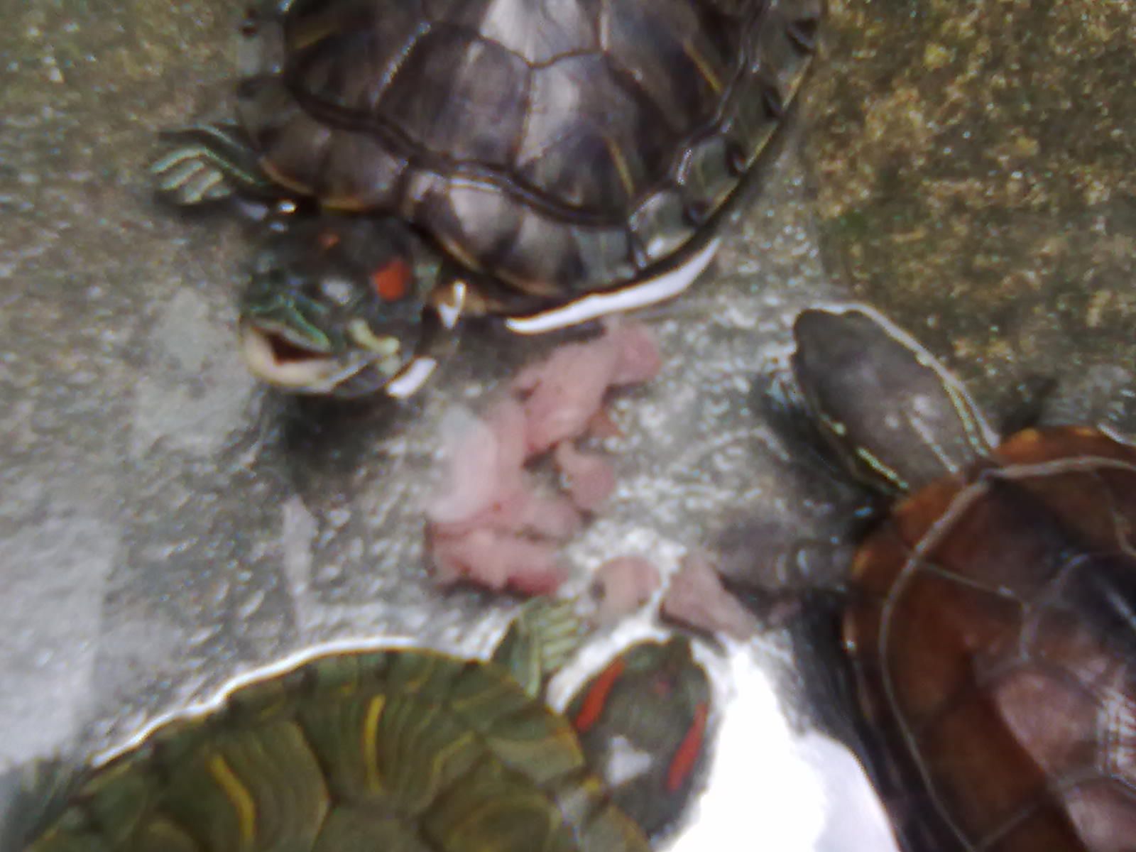 20100919034.jpg