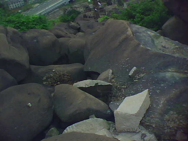 IMG1308A.jpg