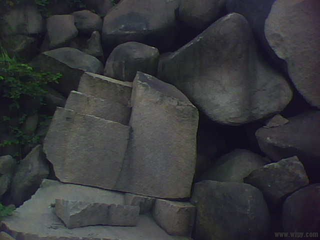IMG1309A.jpg
