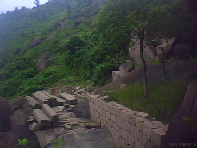 IMG1311A.jpg