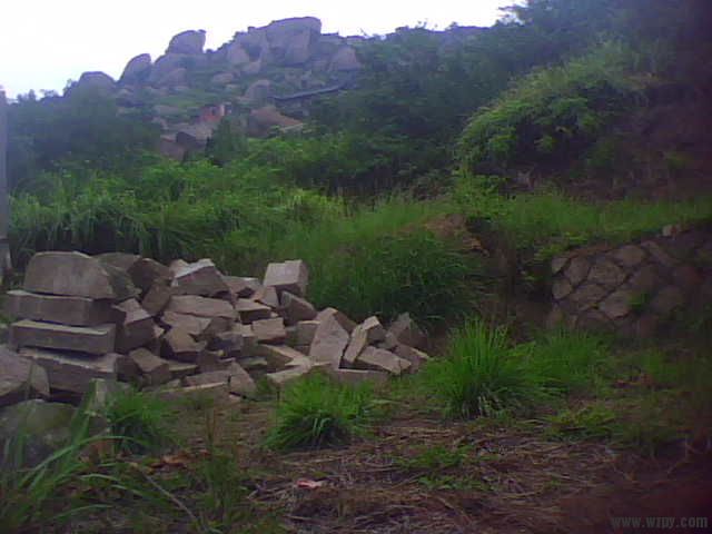 IMG1313A.jpg