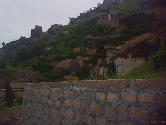 IMG1315A.jpg