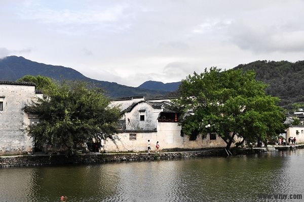 DSC_9132.jpg
