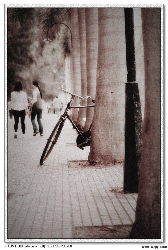 Ƭ113 041.jpg